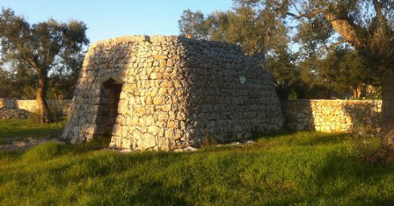 foto di un terreno con liama in Salve