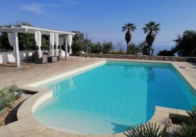 nella foto vedo una villa con palme e piscina in salento
