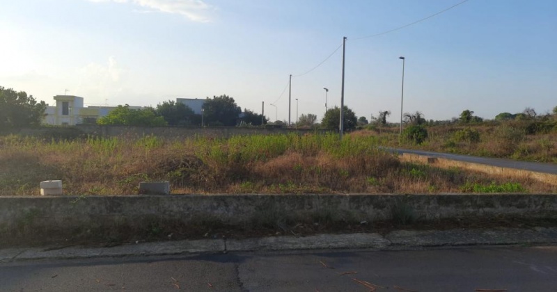 in questa foto si vede un terreno edificabile proposto in vendita da petracca immobiliare