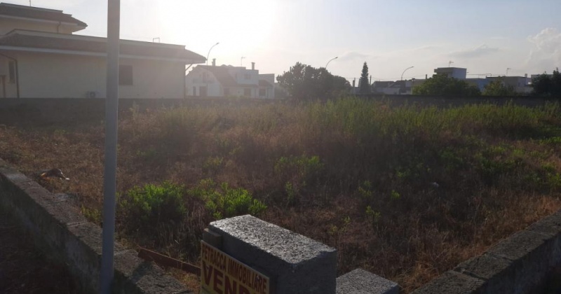 in questa foto petraccaimmobiliare propone in vendita un terreno edificabile in salento