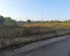 in questa foto vedo un terreno edificabile dove costruire una dimora in puglia