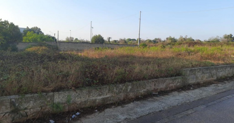 in questa foto vedo un terreno edificabile dove costruire una dimora in puglia
