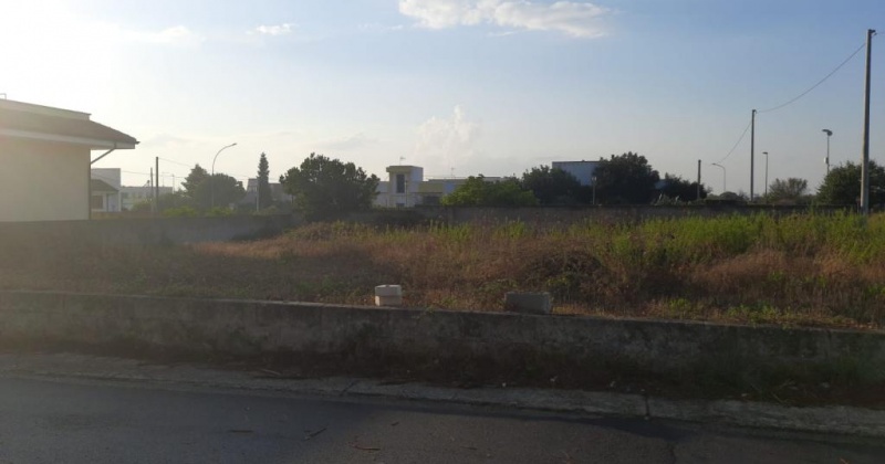 in questa foto vedo un terreno edificabile