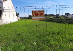 nella foto vedo un terreno edificabile in vendita in presicce acquarica