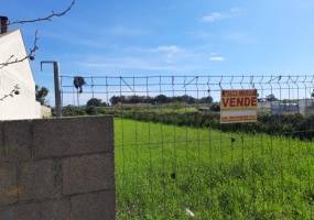 nella foto vedo un terreno in vendita in una zona attrezzata e di passaggio in presicce