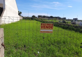 nella foto vedo un terreno in presicce acquarica un affare