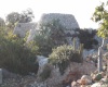 foto di due trulli salentini in un uliveto in Salento